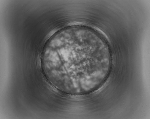 X0000115130921200911241442
