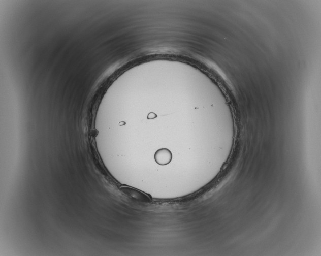 X0000115130922200911241443