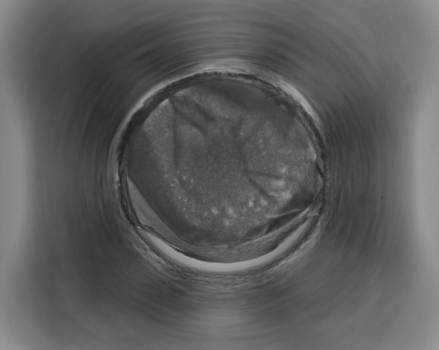 X0000115130923200911241443