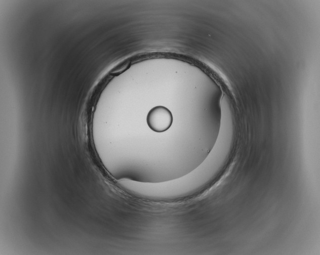 X0000115130925200911241443