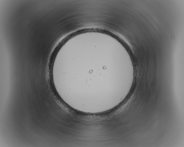 X0000115130927200911241443