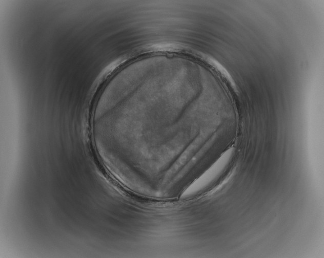 X0000115130930200911241443