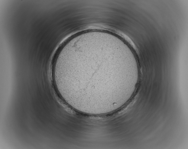 X0000115130931200911241443