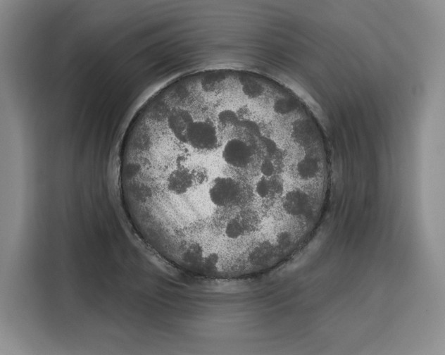 X0000115130933200911241443