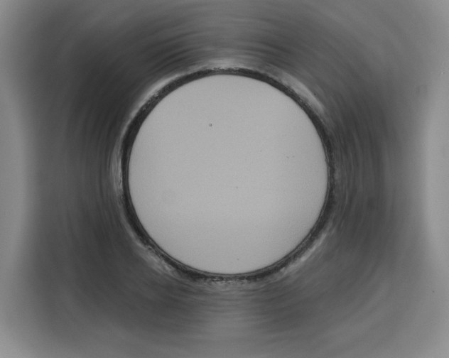 X0000115130934200911241443