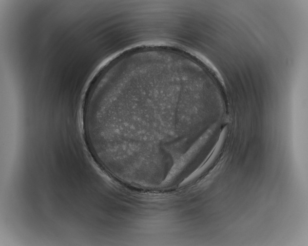 X0000115130935200911241443