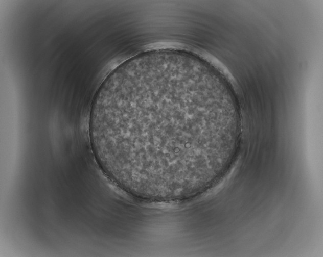 X0000115130937200911241443