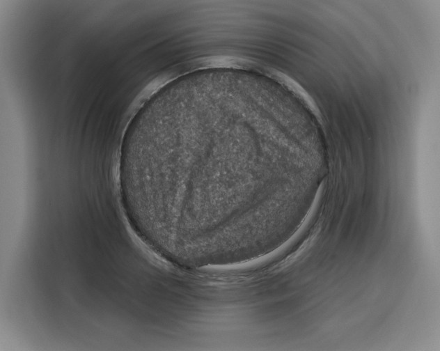 X0000115130938200911241443