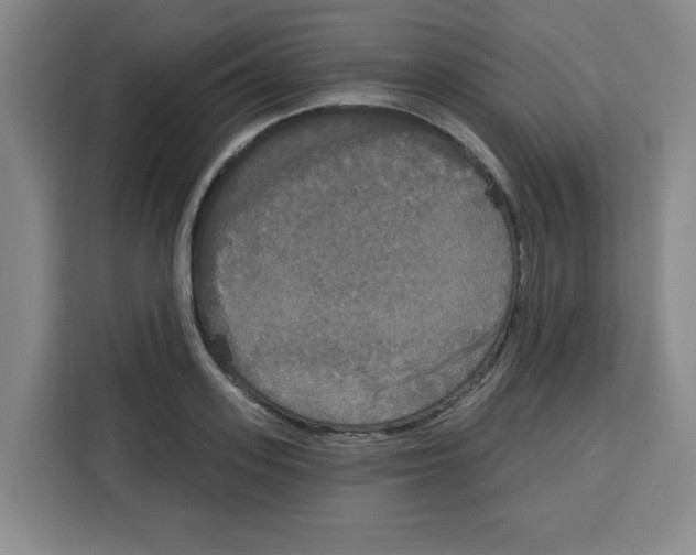 X0000115130939200911241443