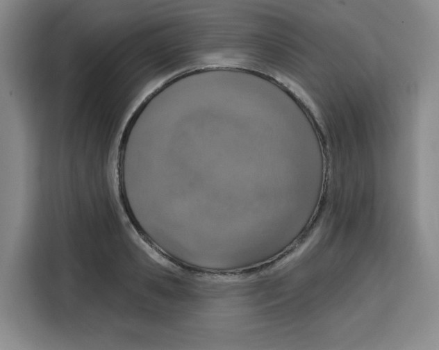 X0000115130941200911241443