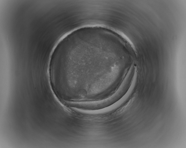 X0000115130943200911241443