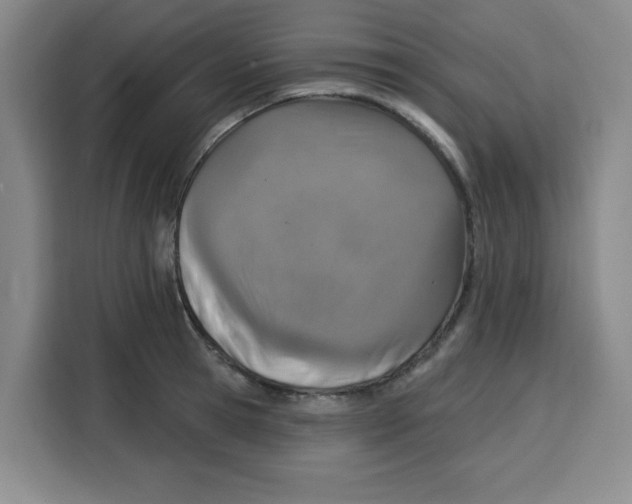 X0000115130945200911241443