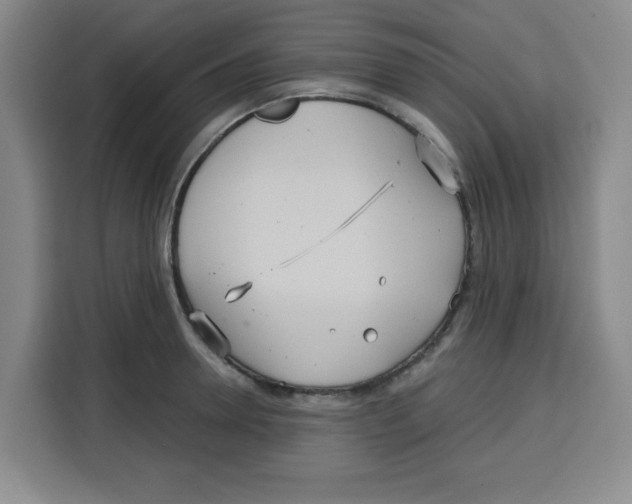 X0000115130946200911241443