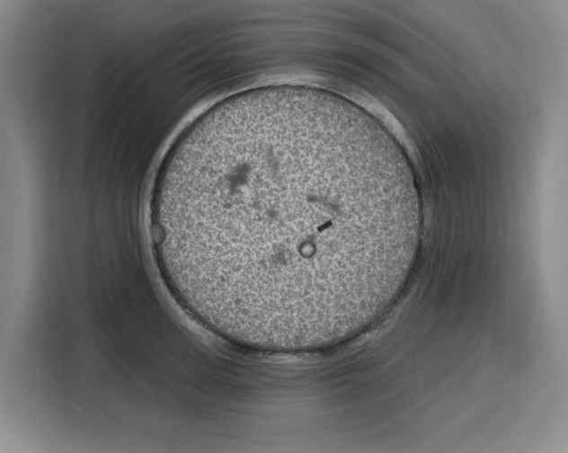 X0000115130947200911241443