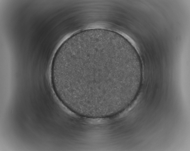X0000115130949200911241443