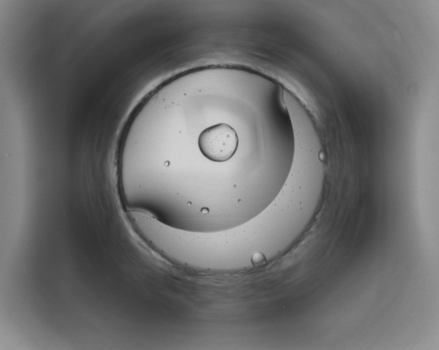 X0000115130950200911241443