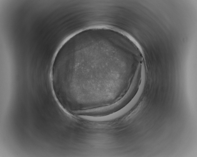X0000115130951200911241443