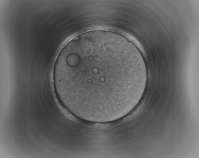 X0000115130954200911241443