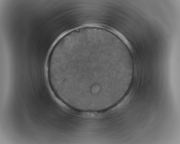 X0000115130955200911241443