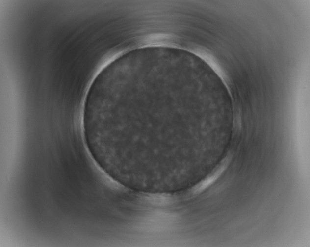 X0000115130957200911241443