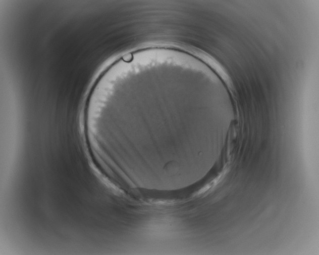 X0000115130958200911241443