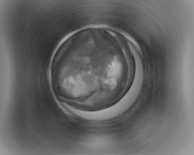 X0000115130959200911241443