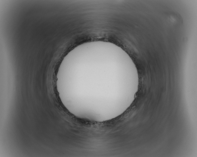 X0000115130961200911241442
