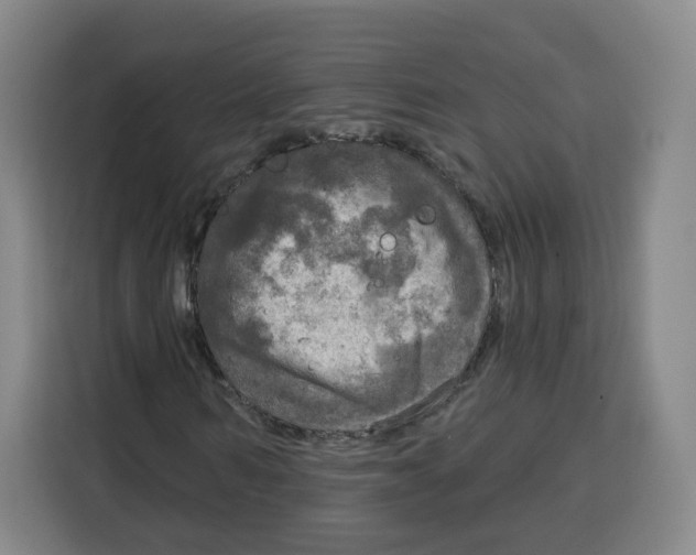 X0000115130962200911241442