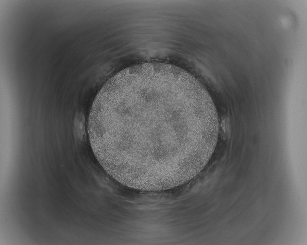 X0000115130963200911241442