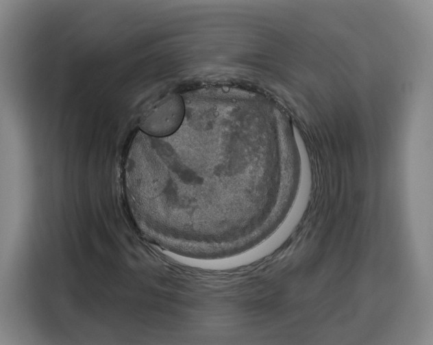 X0000115130964200911241442