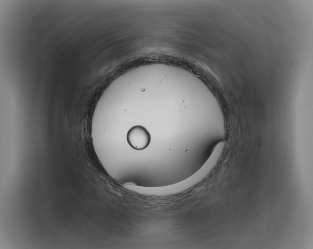 X0000115130965200911241442