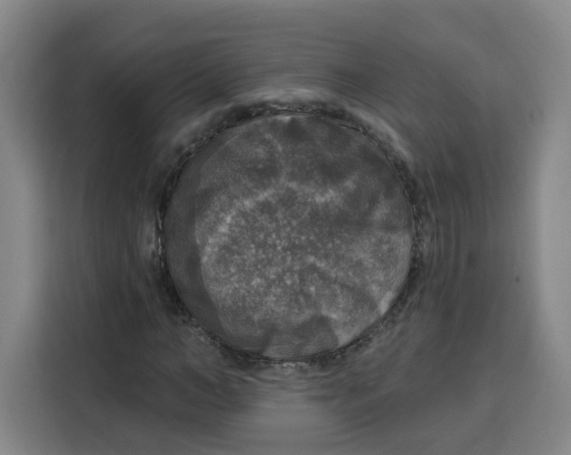 X0000115130966200911241442