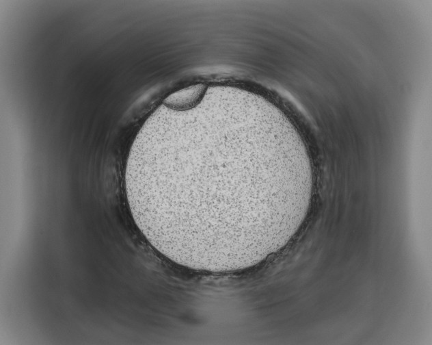 X0000115130967200911241442