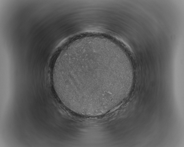 X0000115130968200911241442