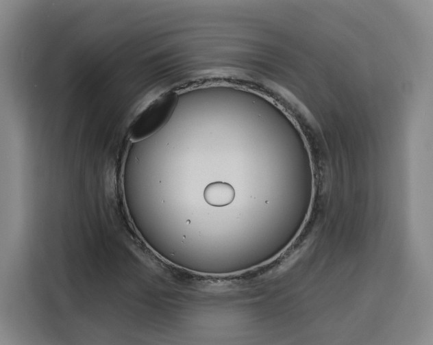 X0000115130969200911241442