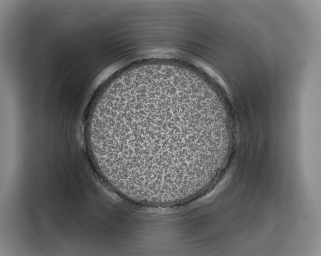 X0000115130970200911241442
