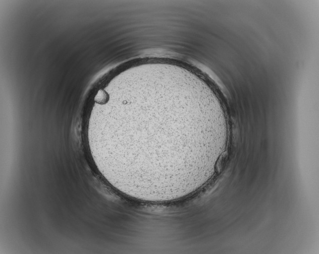 X0000115130971200911241442