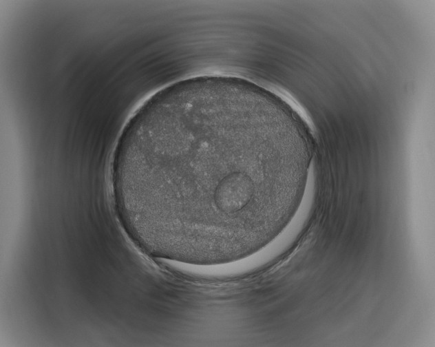 X0000115130972200911241442