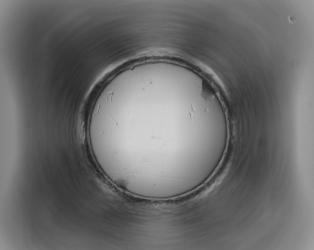 X0000115130973200911241442