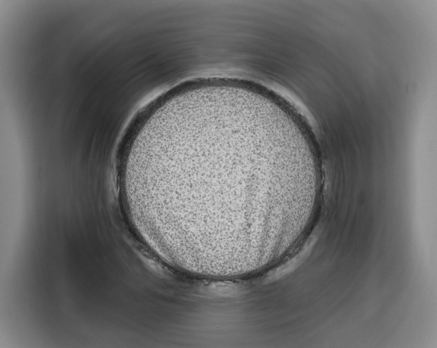 X0000115130974200911241442