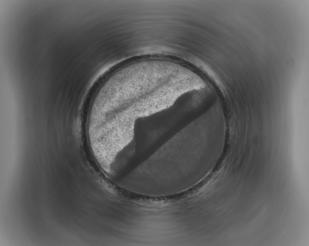 X0000115130975200911241442