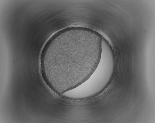 X0000115130976200911241442