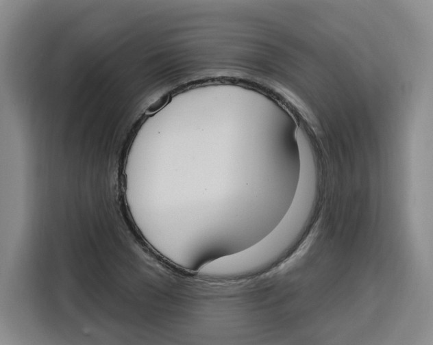 X0000115130977200911241442
