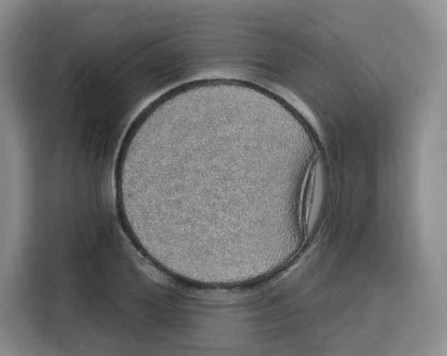 X0000115130980200911241442