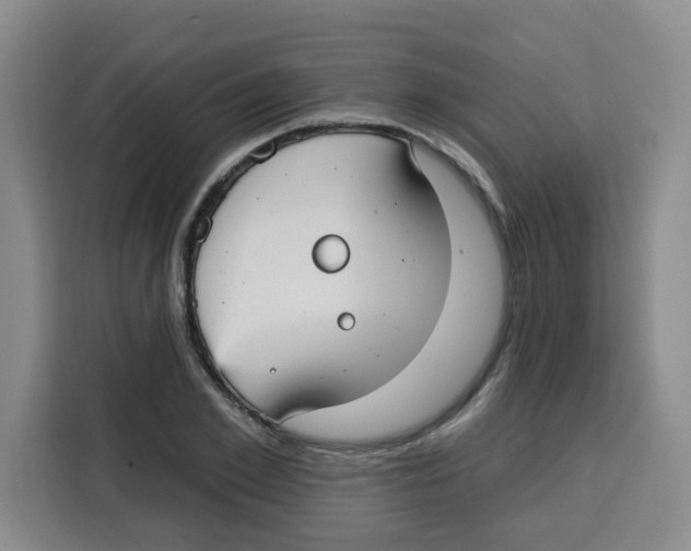 X0000115130981200911241442