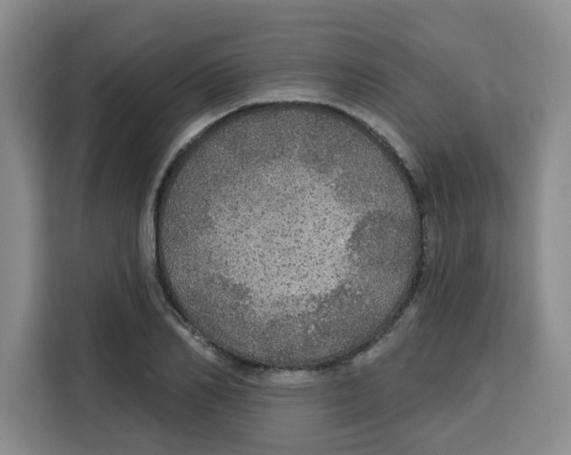 X0000115130982200911241442