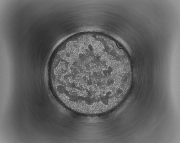 X0000115130983200911241442