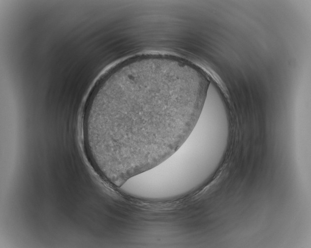 X0000115130984200911241442
