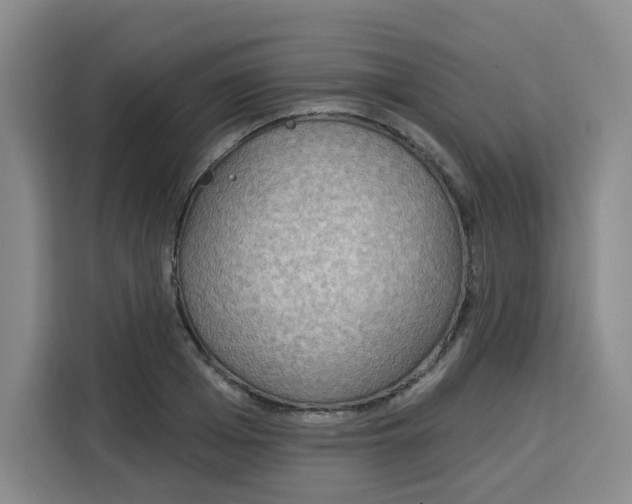 X0000115130985200911241442
