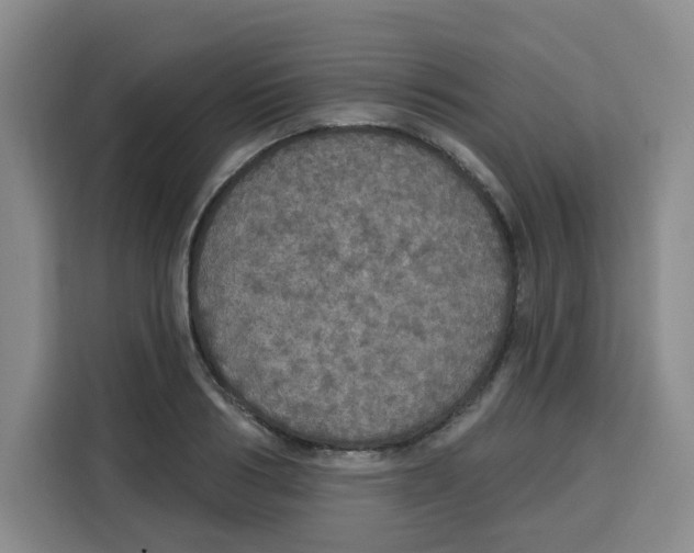 X0000115130986200911241442